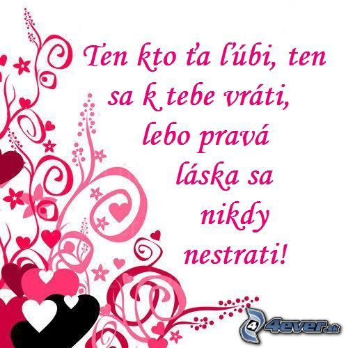 %5Bobrazky.4ever.sk%5D%20prava%20laska,%20laska%207386365[2].jpg